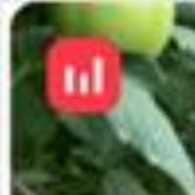 糖果玩彩吧球吧