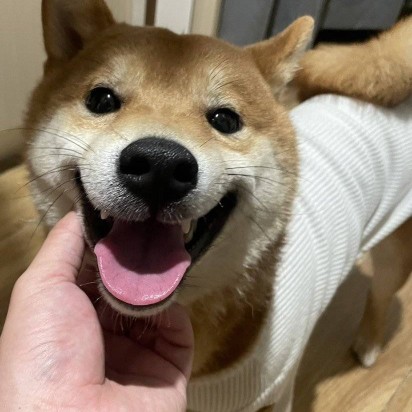 美加墨潇洒吧球吧