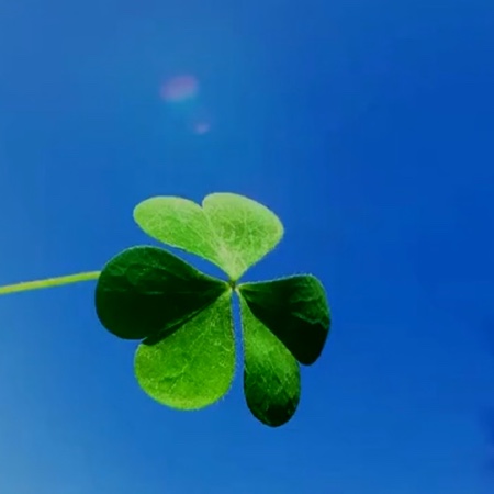 长红东方集团球吧