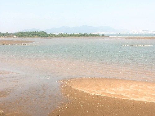 陈东华0910