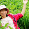 完美人生